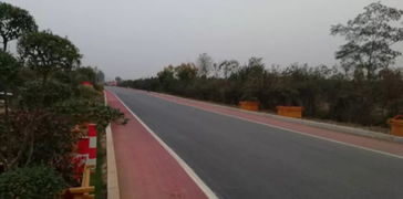 以道路建设为引擎，驱动基础设施、营商环境与环保协同提升的工程管理实践