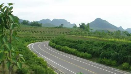 道路建设中的边坡修复策略与应用