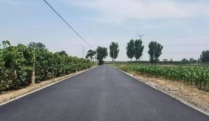 “要想富，先修路” 乐亭乡村振兴从这里起步——工程项目管理里的乡村使命